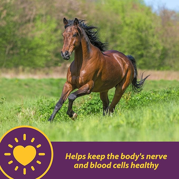 Horse Health Vita B-12 Crumbles Supplement for Horses, Supports red Blood Cell Production for Peak Performance, 3 pounds, 48 Day Supply (Pack of 2)