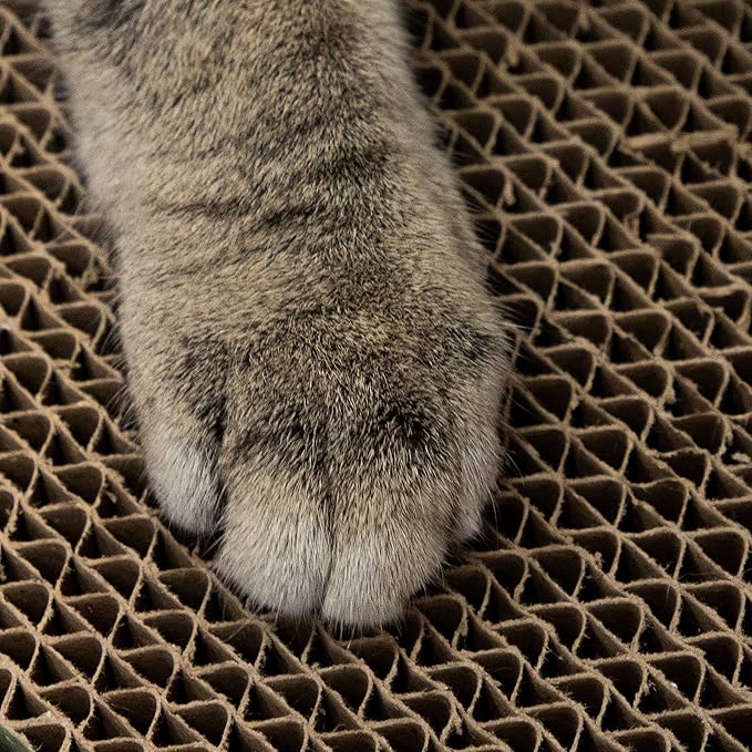 Kitty City Catnip Infused Scratcher with Ball Track