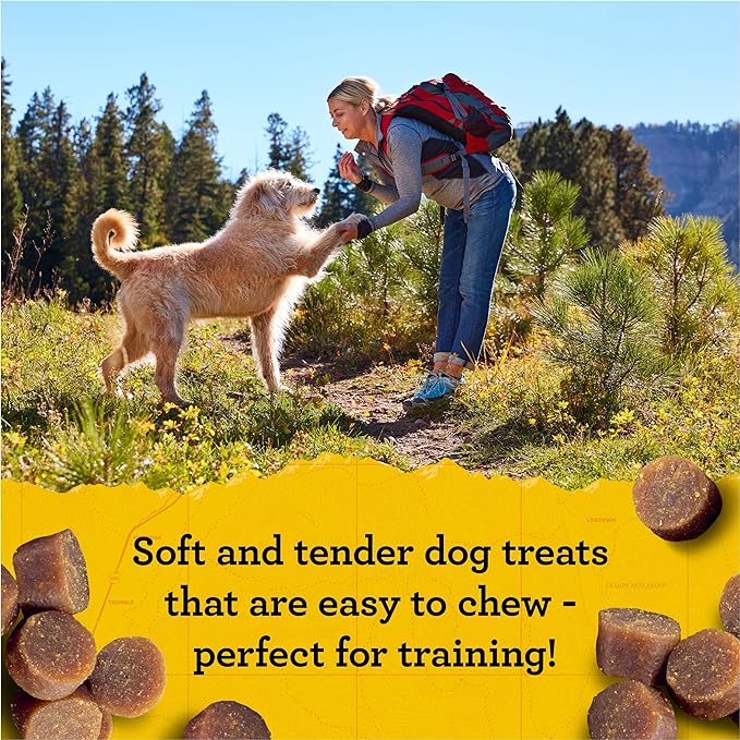 Zuke’s Mini Naturals Soft And Chewy Dog Treats For Training Pouch, Natural Treat Bites With Chicken Recipe - 16 oz. Bag