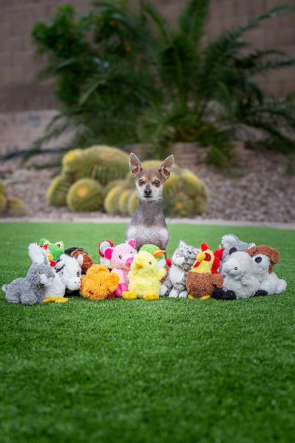 Multipet Look Who's Talking Dog Toy, Chicken, for Small, Medium and Large Breeds