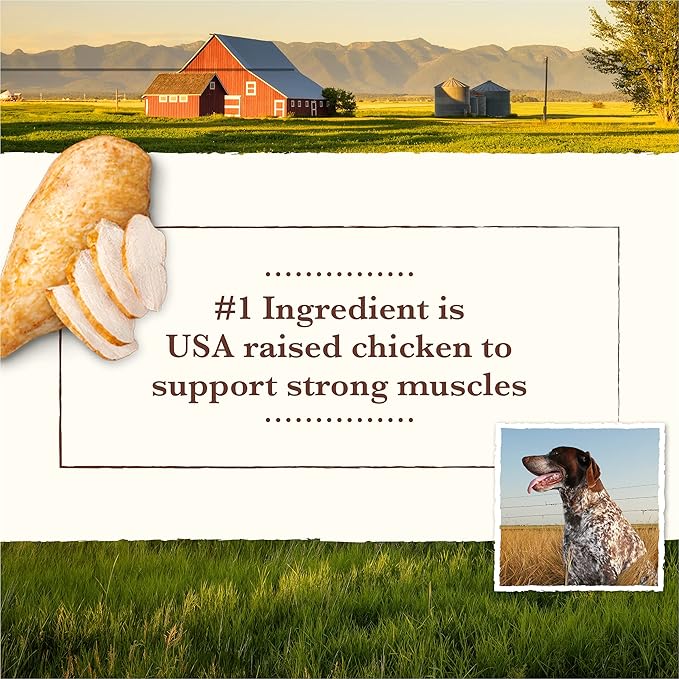 Whole Earth Farms Grain Free Chicken and Turkey Recipe Canned Dog Food - 12.7 oz Can