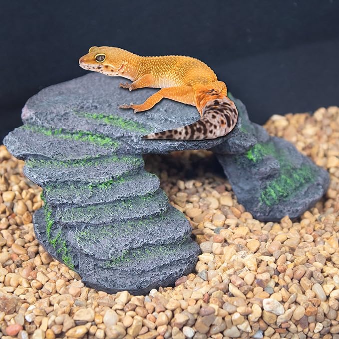 PENN-PLAX Reptology Shale Scape Step Ledge – Decorative Resin for Aquariums & Terrariums – Great for Reptiles, Amphibians, and Fish – Small