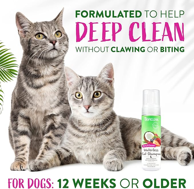 TropiClean Berry Coconut Waterless Cat Shampoo | Deep Cleansing Dry Shampoo for Cats | Natural Cat Shampoo Derived from Natural Ingredients | Made in The USA | 7.4 oz.