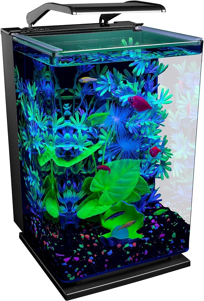 GloFish Aquarium Kit Fish Tank with LED Lighting and Filtration Included