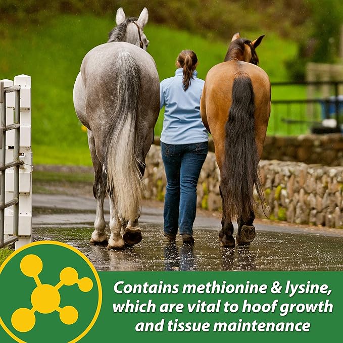 Farnam HB 15 Hoof Supplement, Supports Healthy hoof growth 7 Pound, 112 Day Supply
