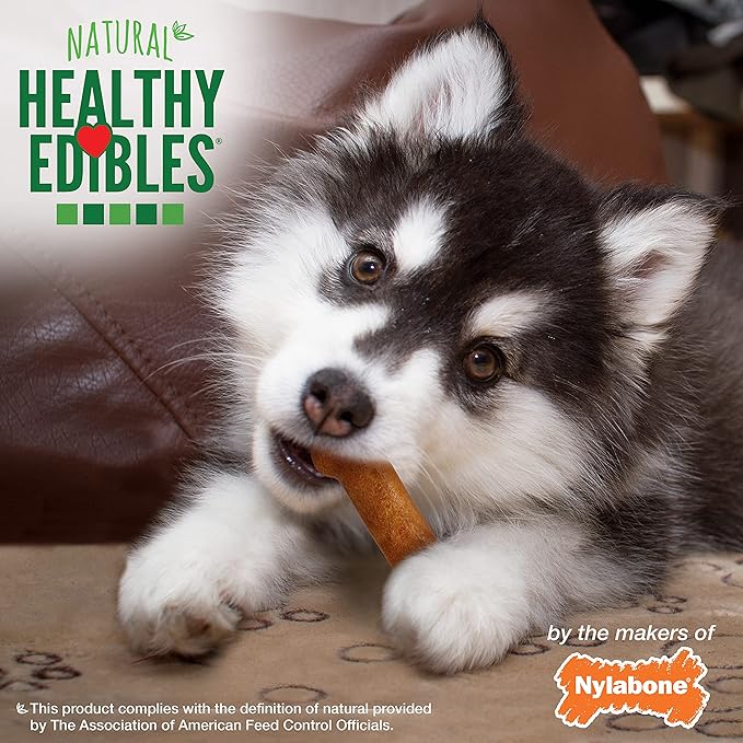 Nylabone Healthy Edibles Natural Puppy Chews Long Lasting Turkey & Sweet Potato Flavor Treats for Dogs, X-Small/Petite (8 Count)