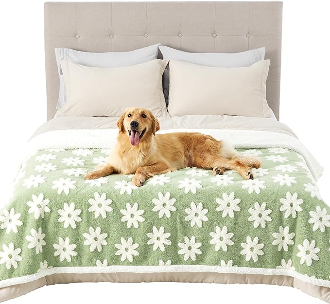 Lesure Waterproof Dog Blanket for Large Dogs - Washable Double Sided Dog Blankets with Warm Jacquard Shag and Soft Sherpa Fleece, Pet Cat blanket for Bed Protection, 3D Textured Cloud, Green