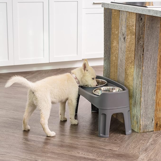 IRIS USA Elevated Dog Bowls, Adjustable Height, 2 Thick 64 oz Stainless Steel Bowls, Spill-Proof with Raised Outer Rim, Durable Made in USA Plastic, Easy Assemble, 2 Heights 4.63" or 12.25" Dark Gray