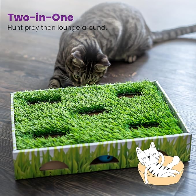 Catstages Grass Patch Hunting Box Cat Toy