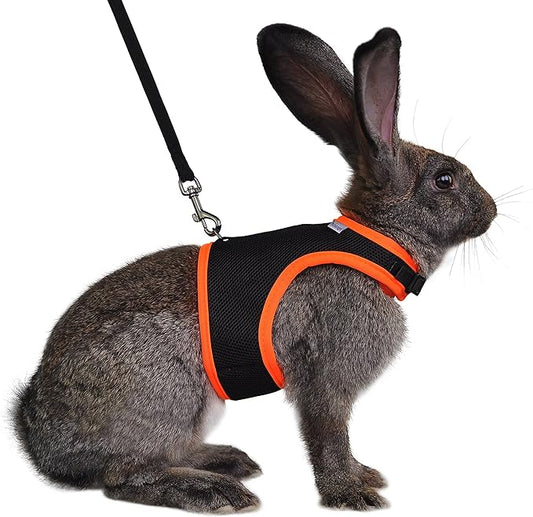 Niteangel Adjustable Soft Harness with Elastic Leash for Rabbits (S, Black)