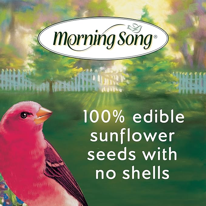 Morning Song Sunflower Hearts & Chips Wild Bird Food, No Mess Sunflower Seeds for Birds, 5.5-Pound Bag