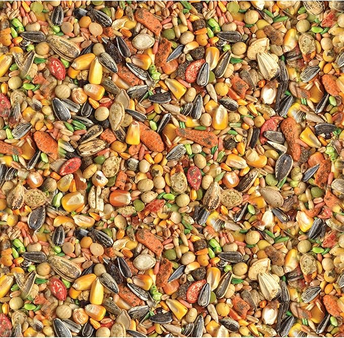 Wild Harvest Advanced Nutrition Parrot 8 Pound Bag,White (Pack of 2)