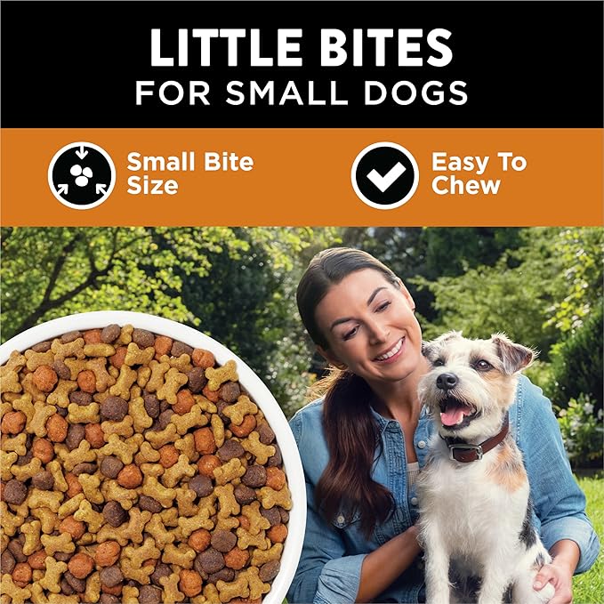 Purina Dog Chow Little Bites for Small Breed Dog Food Dry Recipe, With Real Chicken and Beef - (Pack of 4) 4 lb. Bags