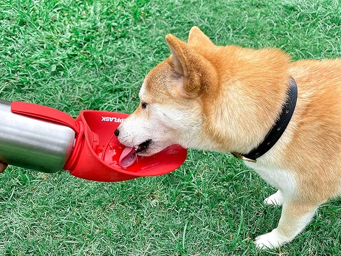 PupFlask Large Dog Water Bottle | 27 or 40 OZ Stainless Steel | Convenient Dog Water Dispenser | Puppy Travel Water Bowl | Portable Pet Water Bottle | Leak Proof Bottle Perfect Size For All Dog Breeds