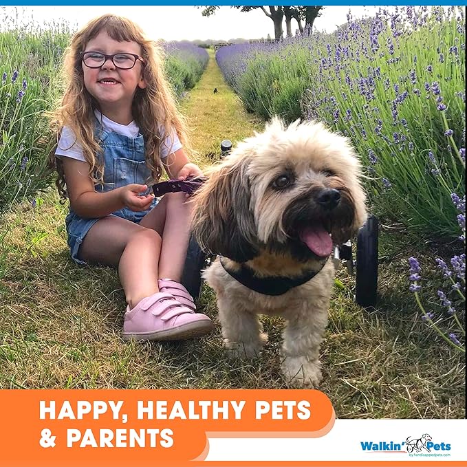 Walkin' Wheels Small Dog Wheelchair, Lightweight Dog Wheelchair for Back Legs, 15-25 lbs, for 6-8 inches Leg Height - Blue
