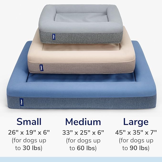 Casper Dog Bed, Plush Memory Foam, Large, Blue, 35.0"L x 45.0"W x 7.0"Th