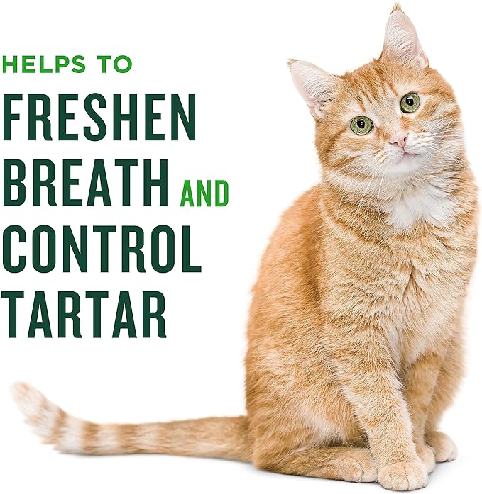 Minties Dental Treats for Cats, (Chicken/Salmon) Flavored Treats for Cats, Freshens Breath and Controls Tartar, 2.5oz