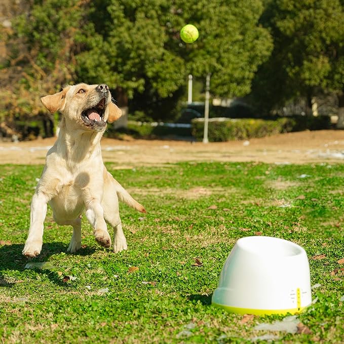 Automatic Ball Launcher for Dogs, 4 Launch Distance Modes, 2-inch Small Balls Included, Suitable for Small to Medium Sized Dogs (White with Latex Ball)