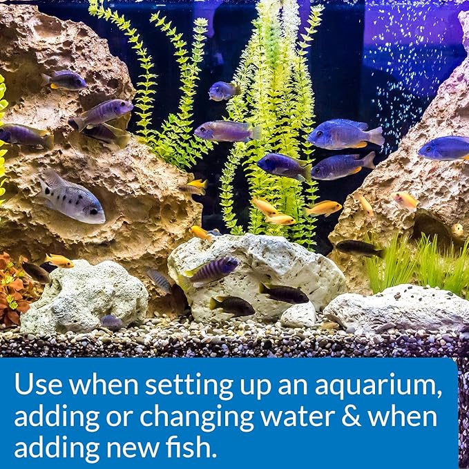 API Aquarium Care Essentials Bundle | API AQUARIUM SALT Freshwater Aquarium Salt (67-Ounce Box) + API QUICK START Freshwater and Saltwater Aquarium Nitrifying Bacteria (16-Ounce Bottle)