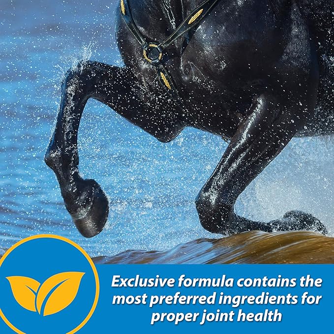 Farnam Fluidflex Liquid Joint Supplement for Horses, Helps Maintain Healthy Hip & Joint Function, 1 Gallon, 128 Ounces, 128 Day Supply