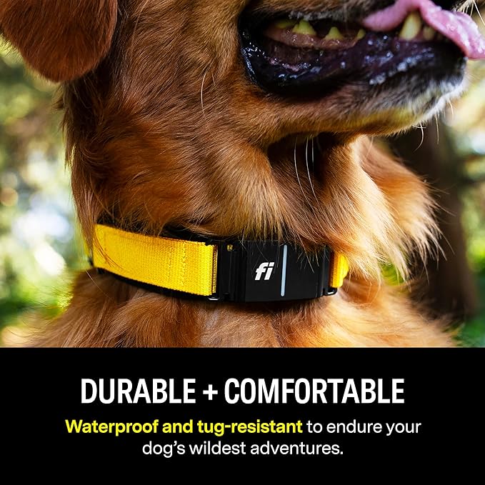 Fi Series 3 Smart Dog Collar - GPS Dog Tracker and Activity & Fitness Monitor, Waterproof, LED Light, Escape Alerts, Nationwide Coverage [Free 1 Year Membership] (Pink, X Small)