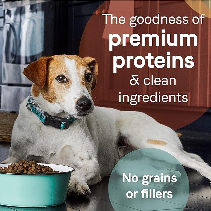 Canidae Pure Limited Ingredient Premium Adult Dry Dog Food, Real Bison, Lentil & Carrot Recipe, 21 lbs, Grain Free