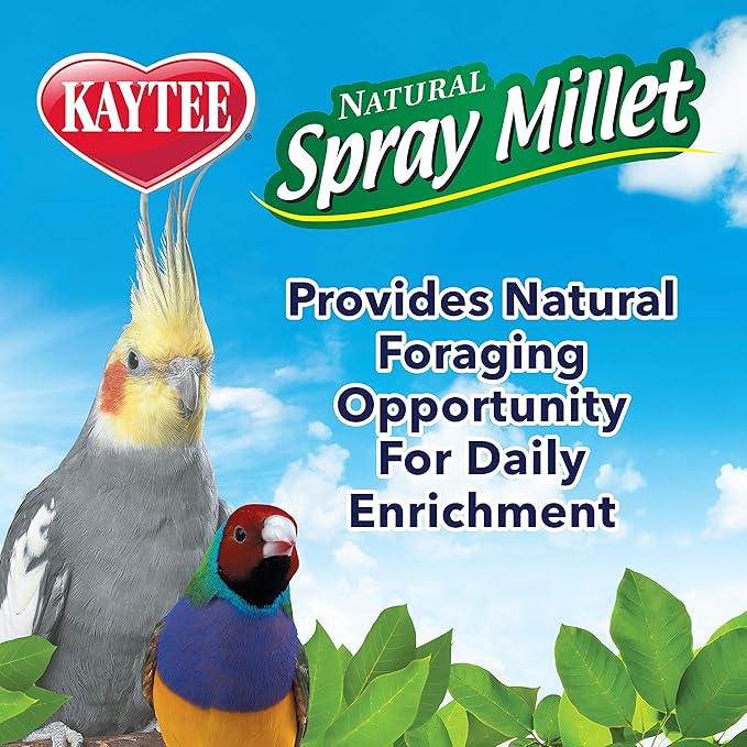 Kaytee Spray Millet Treat for Pet Birds, 7 Ounce (Pack of 2)
