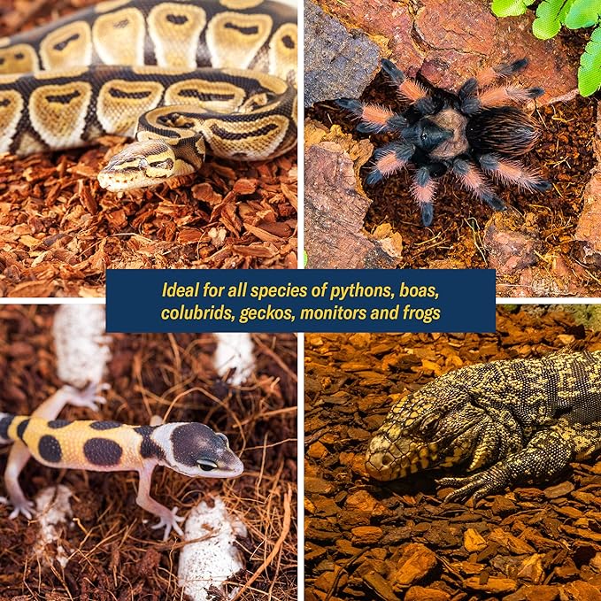 Organic Coconut Chips Substrate Clean & Ready to Use for Reptiles, Snake, Tortoise, and Amphibian, Natural Fiber Free Husks, Clean Breeding and Bedding Flooring, Odor Absorbing – 10.6 Quarts