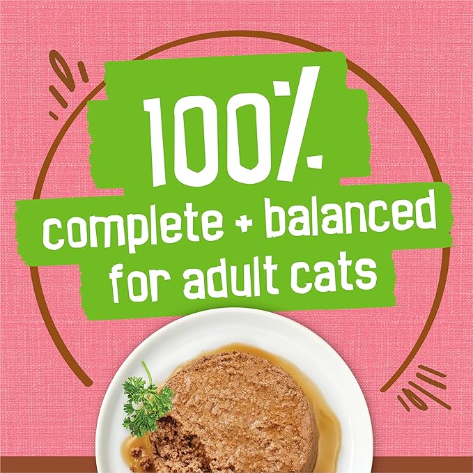 Purina Friskies Wet Cat Food Extra Gravy Pate With Salmon in Savory Gravy - (Pack of 24) 5.5 oz. Cans