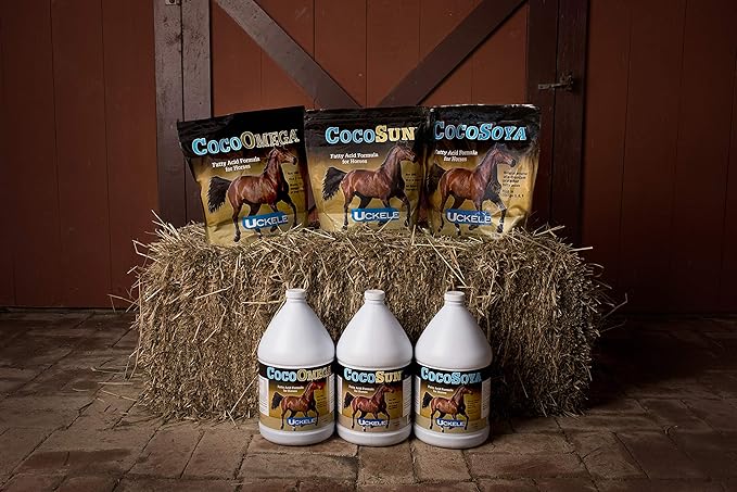 Uckele CocoSoya Oil Horse Supplement - Omega Fatty Acid Supplement for Horses - Equine Vitamin & Mineral Supplement - 1 Gallon