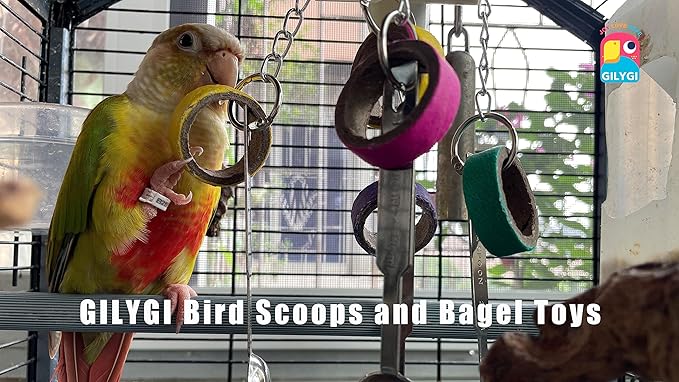 Durable Bird Parrots Scoops and Bagel Toys, Pullable Stainless Steel Spoon and Cardboard Ring Toys for Small and Medium Bird Parakeets, Cockatiels, Conures, Budgie, Lovebirds, Finches