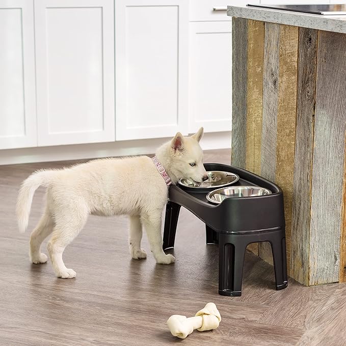 IRIS USA Elevated Dog Bowls, Adjustable Height, 2 Thick 64 oz Stainless Steel Bowls, Spill-Proof with Raised Outer Rim, Durable Made in USA Plastic, Easy Assemble, 2 Heights 4.63" or 12.25" Black
