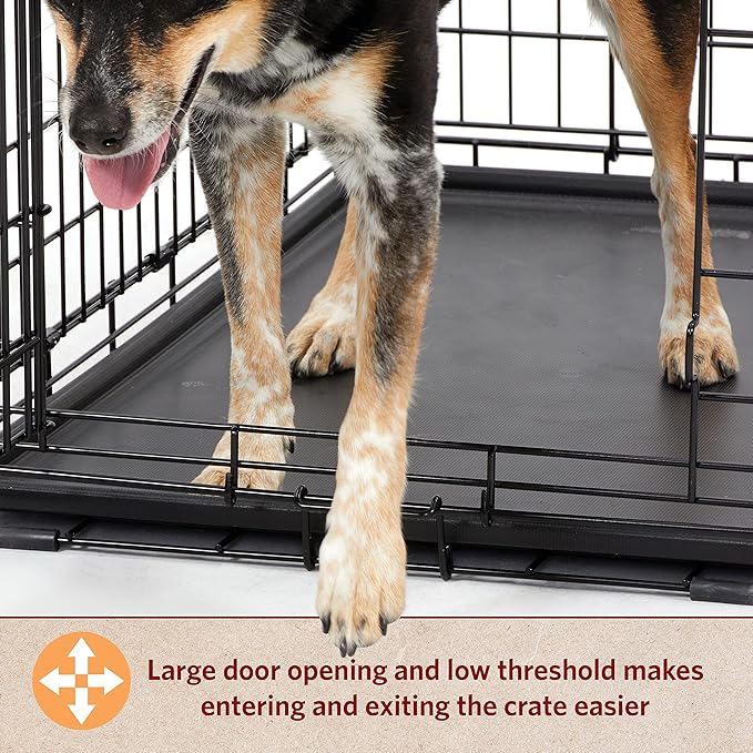 MidWest Homes for Pets Dog Crate | MidWest Life Stages XS Double Door Folding Metal Dog Crate | Divider Panel, Floor Protecting Feet, Leak-Proof Dog Pan | 22.5L x 14W x 16H inches, XS Dog Breed