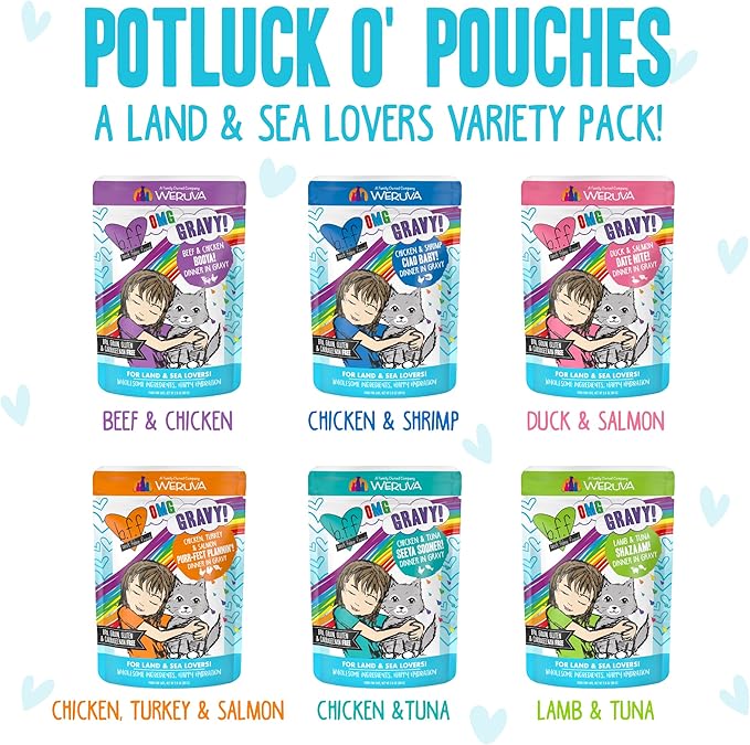 Weruva B.F.F. OMG - Best Feline Friend Oh My Gravy!, Variety Pack, Potluck O' Pouches, Wet Cat Food, 2.8Oz Pouches (Pack of 12)