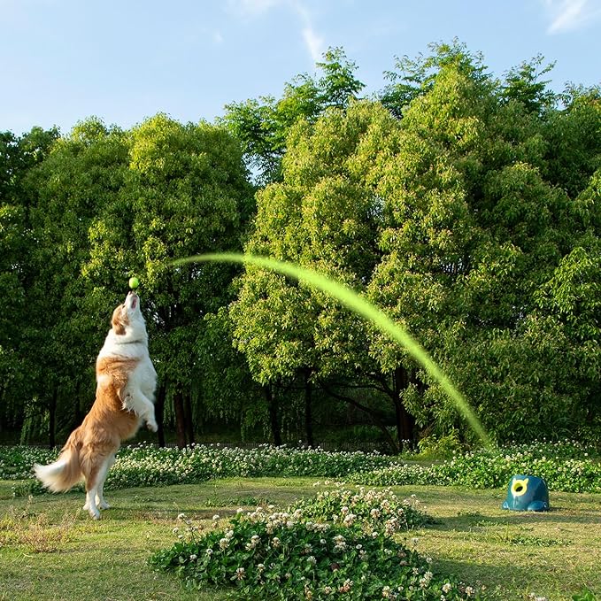 Automatic Ball Launcher, Adjustable Launch Distance, Including 6 Pack Small Sized Balls, Suitable for Small to Medium Sized Dogs (Blue)