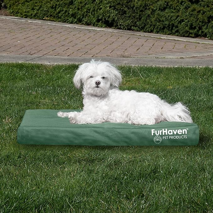 Furhaven Water-Resistant Orthopedic Dog Bed for Medium/Small Dogs w/ Removable Washable Cover, For Dogs Up to 35 lbs - Indoor/Outdoor Logo Print Oxford Polycanvas Mattress - Forest, Medium