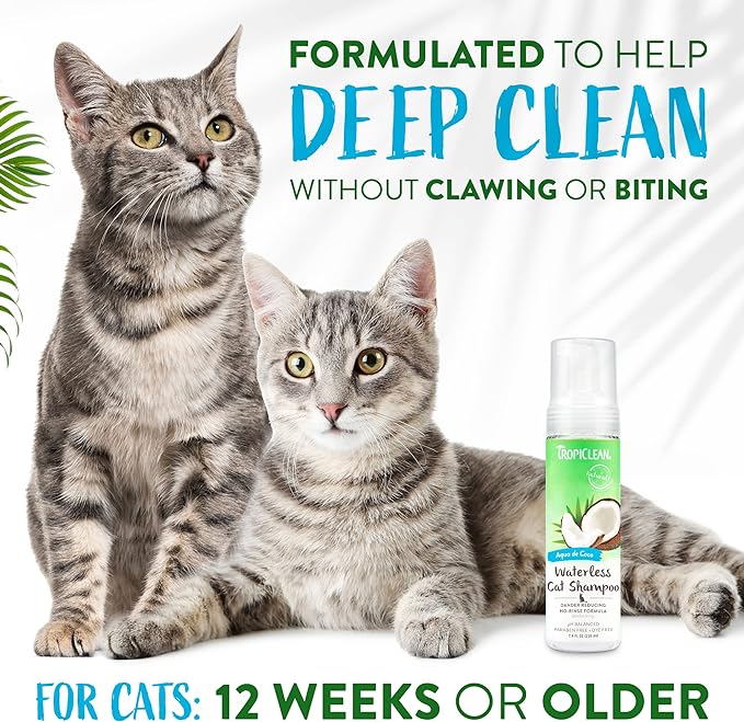 TropiClean Aqua de Coco Waterless Cat Shampoo | Cat Dandruff & Cat Allergen Reducer | Natural Dry Cat Shampoo Derived from Natural Ingredients | Made in The USA | 7.4 oz