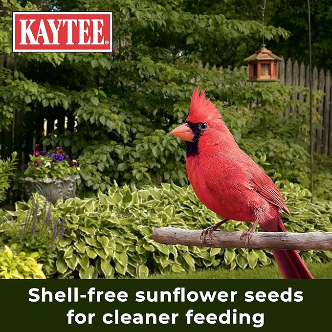 Kaytee Wild Bird No Mess Food Seed Blend For Blue Jays, Woodpeckers, Juncos, Cardinals, Grosbeaks, Sparrows, and Finches, 5 Pound