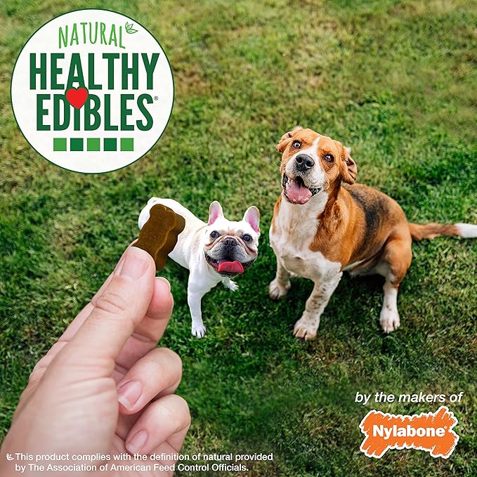 Nylabone Healthy Edibles Chewy Bites Dog Training Treats Beef & Cheese 6 oz.