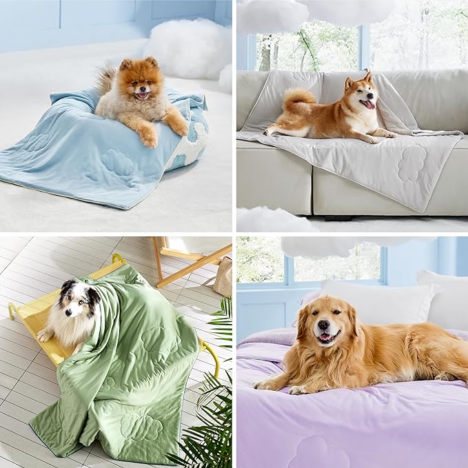 Lesure Premium Cooling Blankets for Extra Large Dogs - Washable Dog Cooling Throw Blanket with Q-MAX>0.4，Durable Self Cooling Pet Mat for Cat, Soft Cooling Summer Blanket for Hot Weather, Blue, 50x60