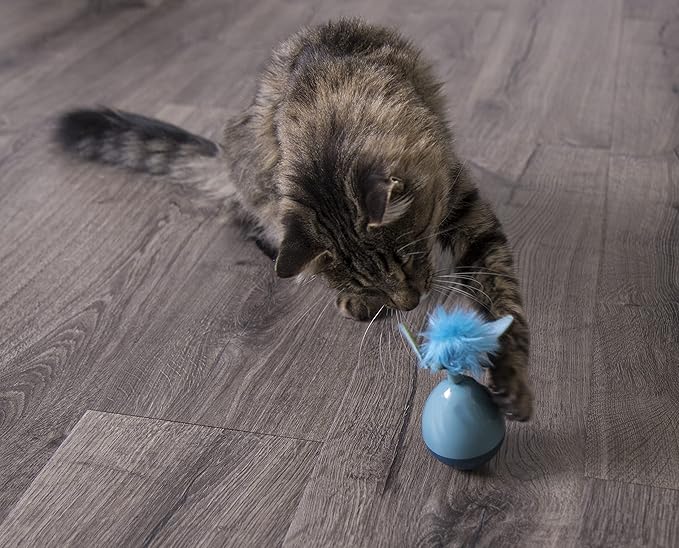 Petlinks Dizzy Thing Spinning Electronic Motion Cat Toy, Battery Powered - Blue, One Size