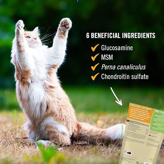 Pet Naturals Hip and Joint Support Supplement for Cats, 30 Chews - Glucosamine, Chondroitin and MSM for Cats