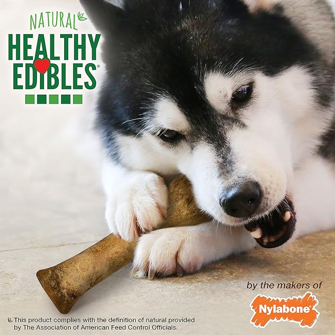 Nylabone Healthy Edibles Natural Dog Chews Long Lasting Bacon Flavor Treats for Dogs, X-Large/Souper (2 Count)