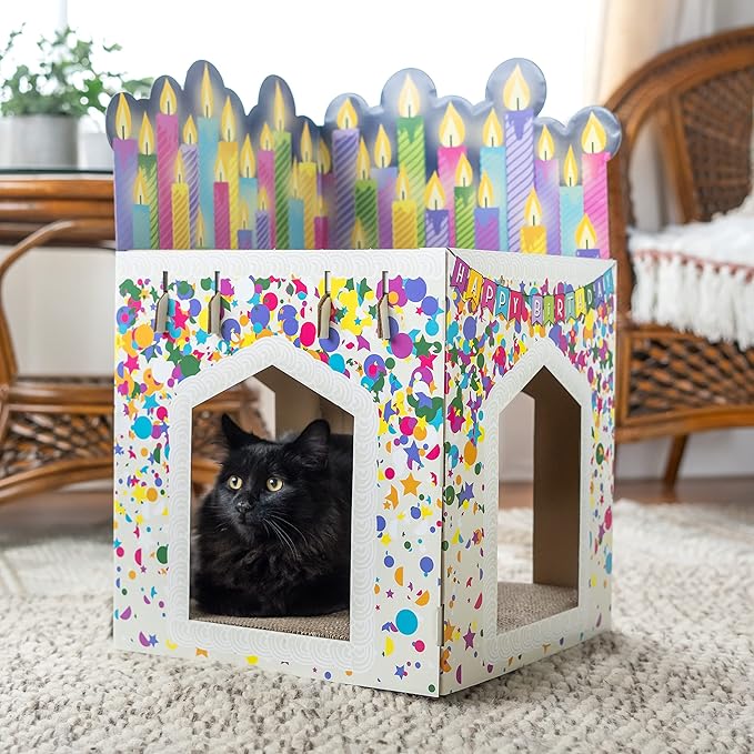 Kitty City Birthday Cake Scratcher