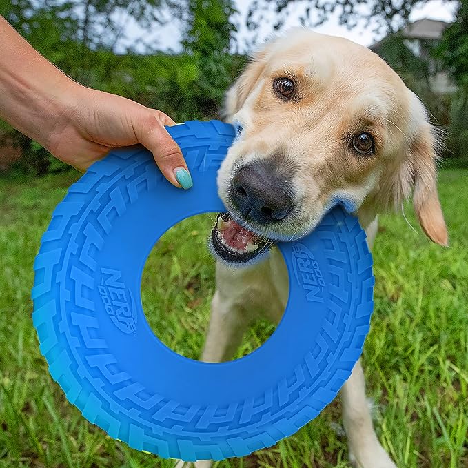 Nerf Dog Rubber Tire Flyer Dog Toy, Flying Disc, Lightweight, Durable, Floats in Water, Great for Beach and Pool, 10 Inch Diameter, for Medium/Large Breeds, Single Unit, Blue, original