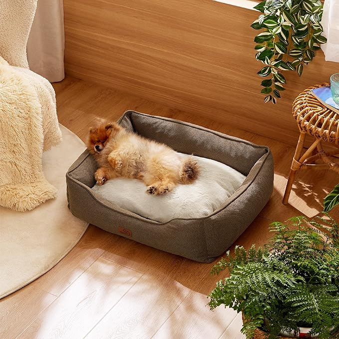 Bedsure Washable Dog Bed for Small Dogs - Waterproof All-Season Foam Puppy Beds, Orthopedic Rectangle Cuddle Indoor Cat Beds with Removable Zipper Cover, 25x21x8inches, Brown