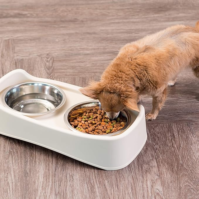 IRIS USA Elevated Dog Bowls, Adjustable Height, 2 Thick 64 oz Stainless Steel Bowls, Spill-Proof with Raised Outer Rim, Durable Made in USA Plastic, Easy Assemble, 2 Heights 4.63" or 12.25" Almond