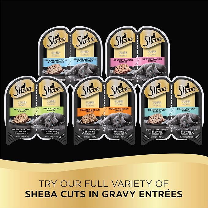 SHEBA PERFECT PORTIONS Cuts in Gravy Wet Cat Food Trays (12 Count, 24 Servings), Roasted Chicken Entrée, Easy Peel Twin-Pack Trays