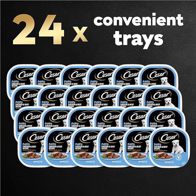 CESAR Puppy Soft Wet Dog Food Classic Loaf in sauce Chicken & Beef Recipe, 3.5 Ounce (Pack of 24) Easy Peel Trays