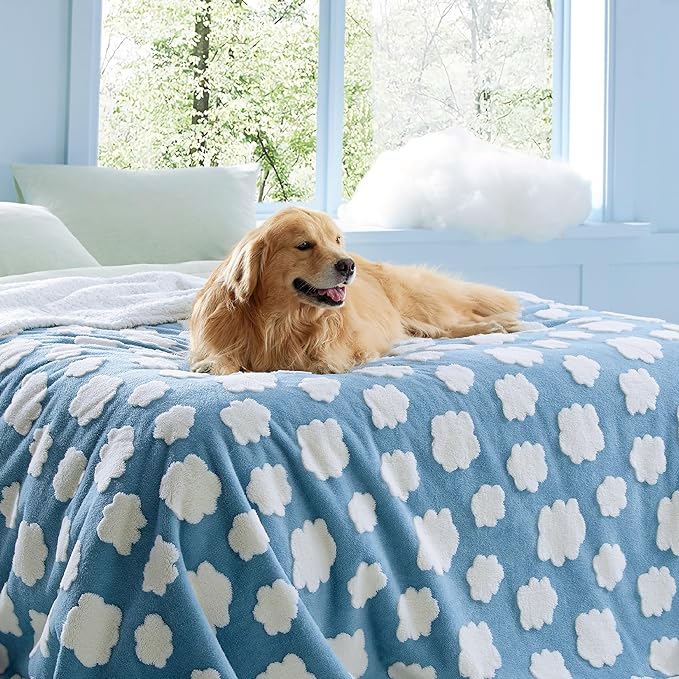 Lesure Waterproof Dog Blanket for Large Dogs - Washable Double Sided Dog Blankets with Warm Jacquard Shag and Soft Sherpa Fleece, Pet Cat blanket for King Bed Protection, 3D Textured Cloud, Blue